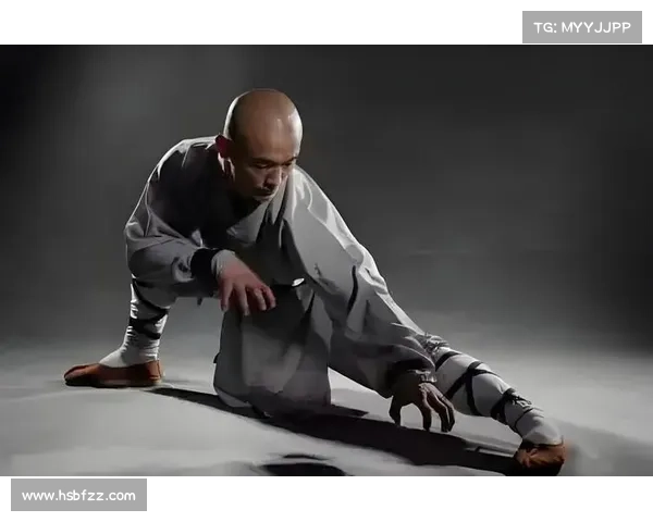 少林七十二绝技影像数字化工程正式启动 传承与创新并行助力武术文化复兴 少林七十二绝技影像数字化工程正式启动 传承与创新并行助力武术文化复兴